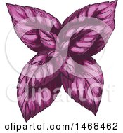 Clipart Of A Sketched Herb Purple Basil Royalty Free Vector Illustration