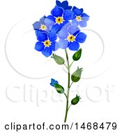 Clipart Of Forget Me Not Flowers Royalty Free Vector Illustration
