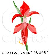 Clipart Of A Red Lily Flower Royalty Free Vector Illustration