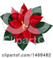 Poster, Art Print Of Red Poinsetta Flower