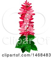 Clipart Of A Pink Flowering Plant Royalty Free Vector Illustration