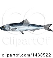 Clipart Of A Sketched Anchovy Fish Royalty Free Vector Illustration