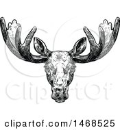 Poster, Art Print Of Sketched Black And White Elk