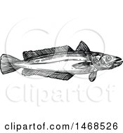 Poster, Art Print Of Sketched Black And White Hake Fish