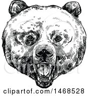 Poster, Art Print Of Sketched Black And White Bear Face