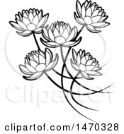 Poster, Art Print Of Black And White Five Water Lily Lotus Flowers