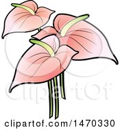 Poster, Art Print Of Pink Anthurium Flowers