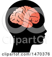 Poster, Art Print Of Profiled Head With A Visible Brain