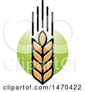 Poster, Art Print Of Wheat Stalk On Green