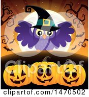 Halloween Witch Owl Over Jackolanterns