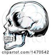 Clipart Of A Human Skull In Profile Royalty Free Vector Illustration by Domenico Condello