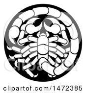 Poster, Art Print Of Zodiac Horoscope Astrology Scorpio Circle Design In Black And White