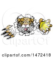 Clipart Of A Vicious Wildcat Mascot Shredding Through A Wall With A Tennis Ball Royalty Free Vector Illustration