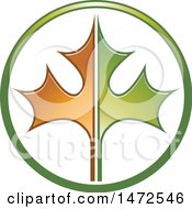 Clipart Of A Green And Orange Maple Leaf In A Circle Royalty Free Vector Illustration