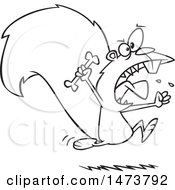 Clipart Of A Cartoon Lineart Raging Carnivorous Squirrel Holding A Bone Royalty Free Vector Illustration