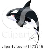 Poster, Art Print Of Jumping Cute Killer Orca Whale