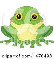 Poster, Art Print Of Dorable Green Frog With Blushing Cheeks