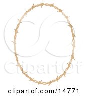 Oval Border Frame Of Barbed Wire Over A White Background