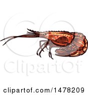 Clipart Of A Sketched Shrimp Royalty Free Vector Illustration by Vector Tradition SM