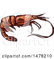Clipart Of A Sketched Shrimp Royalty Free Vector Illustration by Vector Tradition SM