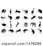 Poster, Art Print Of Silhouetted Safari Animals