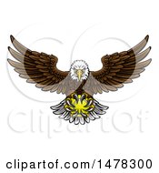 Poster, Art Print Of Cartoon Swooping American Bald Eagle With A Tennis Ball In His Talons