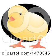 Poster, Art Print Of Yellow Chick Over A Black Egg