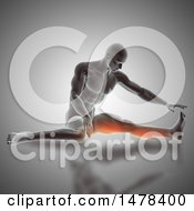 Poster, Art Print Of 3d Man Stretching With Highlighted Leg Muscles On Gray