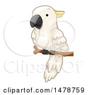 Poster, Art Print Of Perched Cockatoo Parrot