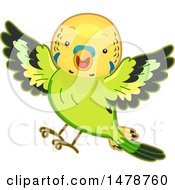 Poster, Art Print Of Flying Budgerigar Parakeet Bird