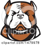 Poster, Art Print Of Tough American Bulldog Head In Tan And White