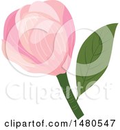 Clipart Of A Pink Magnolia Flower Royalty Free Vector Illustration