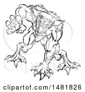 Clipart Of A Black And White Attacking Werewolf Beast Royalty Free Vector Illustration