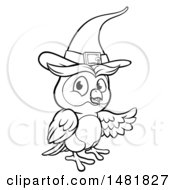 Black And White Witch Owl Wearing A Hat