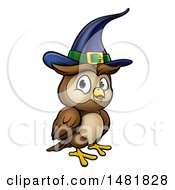 Poster, Art Print Of Cartoon Witch Owl Wearing A Hat