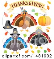 Poster, Art Print Of Group Of Thanksgiving Native And Pilgrim Turkey Birds