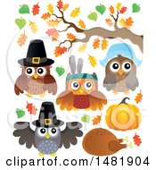Poster, Art Print Of Thanksgiving Owls