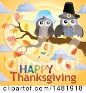 Poster, Art Print Of Pilgrim Owl Couple On A Fall Tree Branch Over Happy Thanksgiving Text