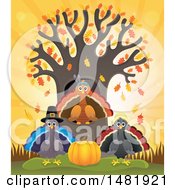 Poster, Art Print Of Group Of Thanksgiving Native And Pilgrim Turkey Birds At A Tree