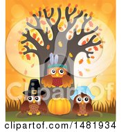 Clipart Of A Group Of Thanksgiving Owls At A Tree Royalty Free Vector Illustration