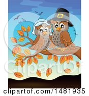 Clipart Of A Thanksgiving Pilgrim Owl Couple On A Fall Tree Branch Royalty Free Vector Illustration