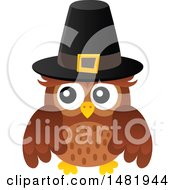 Poster, Art Print Of Thanksgiving Owl Wearing A Pilgrim Hat