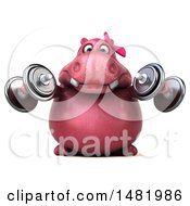 Clipart Of A 3d Pink Henrietta Hippo Character Working Out With Dumbbells On A White Background Royalty Free Illustration by Julos