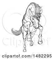 Clipart Of A Black And White Rearing Charging Or Jumping Horse Royalty Free Vector Illustration