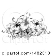 Poster, Art Print Of Black And White Engraved Or Woodcut Hibiscus Flower Design
