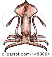 Clipart Of A Sketched Squid Royalty Free Vector Illustration by Vector Tradition SM