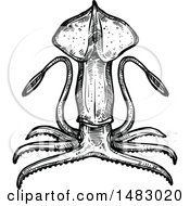 Clipart Of A Sketched Black And White Squid Royalty Free Vector Illustration