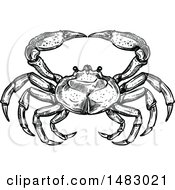 Clipart Of A Sketched Black And White Crab Royalty Free Vector Illustration