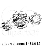 Poster, Art Print Of Black And White Vicious Wildcat Mascot Shredding Through A Wall With A Cricket Ball