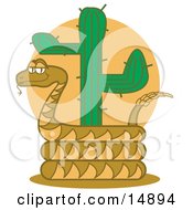 Rattlesnake Holding Out His Rattle And Curled Around A Desert Cactus Clipart Illustration